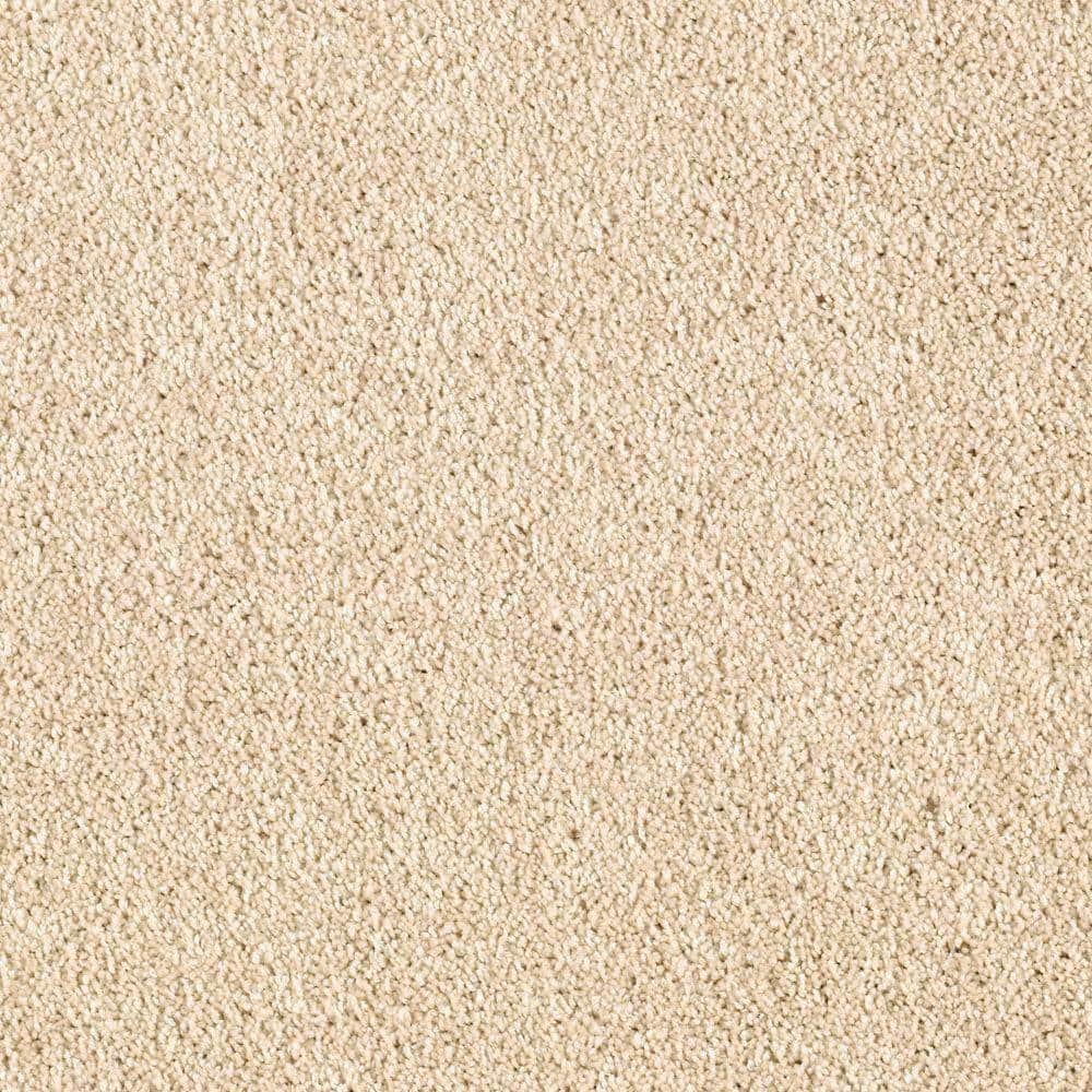 8 in. x 8 in. Texture Carpet Sample - Ambrosina I -Color Antique Ivory price history on PriceWatchPro