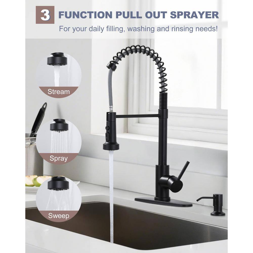 Matte Black Stainless Steel Kitchen Faucet with Pull Down Sprayer
