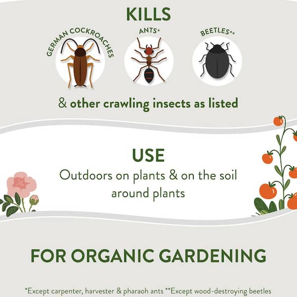 4 lbs. Diatomaceous Earth Crawling Insect Killer