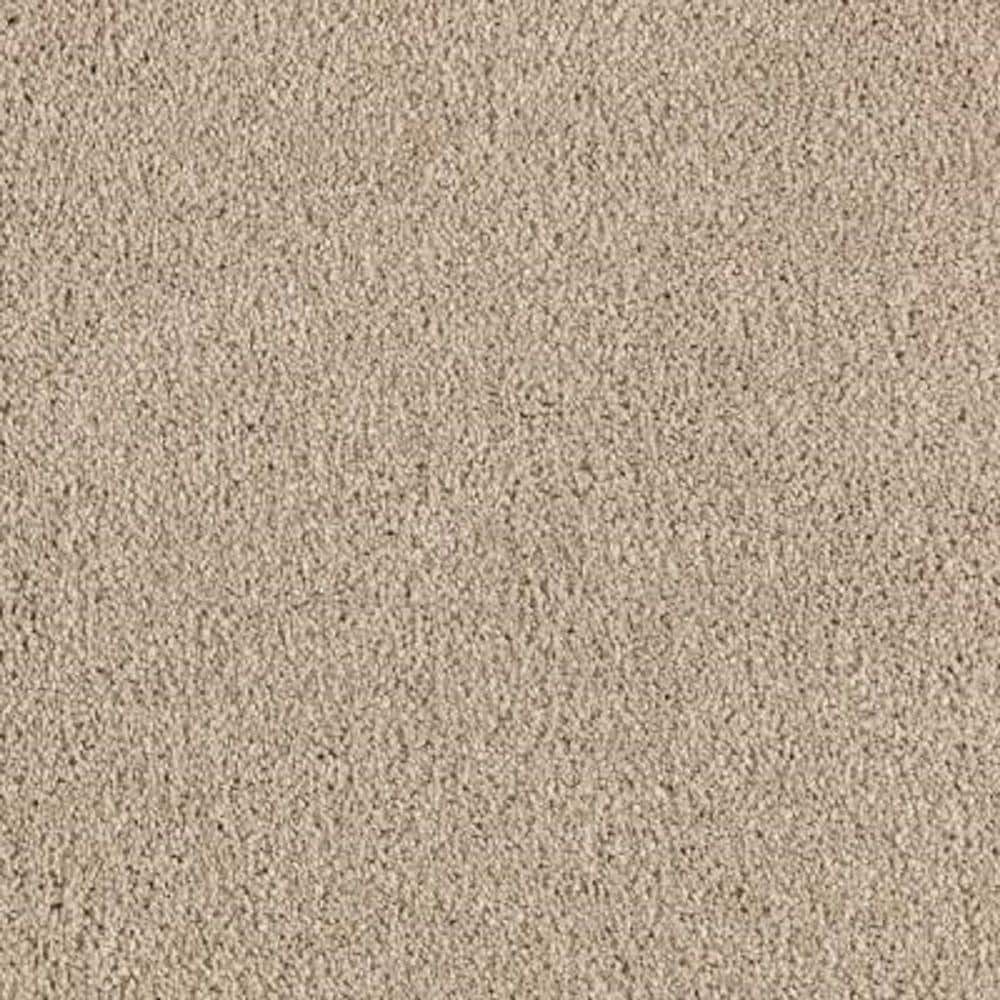 8 in. x 8 in. Texture Carpet Sample - Ambrosina II -Color Coastline price history on PriceWatchPro