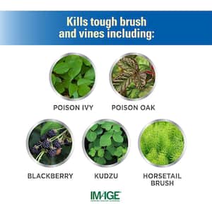 32 oz. Brush and Vine Killer Concentrate