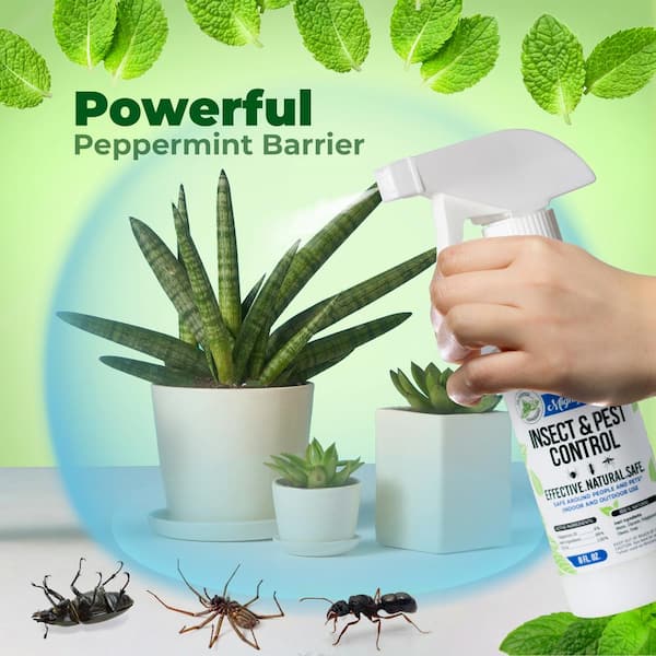 Effective Natural Cedar Spray Moth and Pest Repellent 