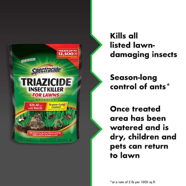 Spectracide Fog Insect Killer for Lawns 16 oz