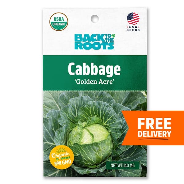 Back to the Roots Organic Golden Acre Cabbage Seed (1-Pack)