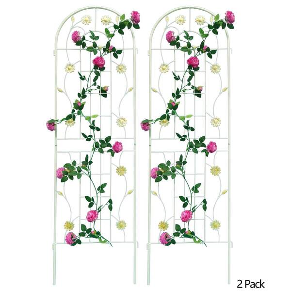 ToolCat 2-Pack 71 in. x 19.7 in. Metal Garden Trellis Rustproof Trellis ...