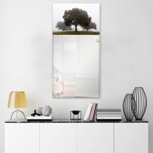48 in. x 24 in. Solitude Rectangle Framed Printed Tempered Art Glass Beveled Accent Mirror