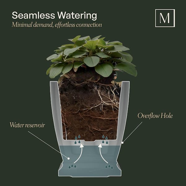 Mayne Acadia 20 in. Square Self-Watering Black Polyethylene