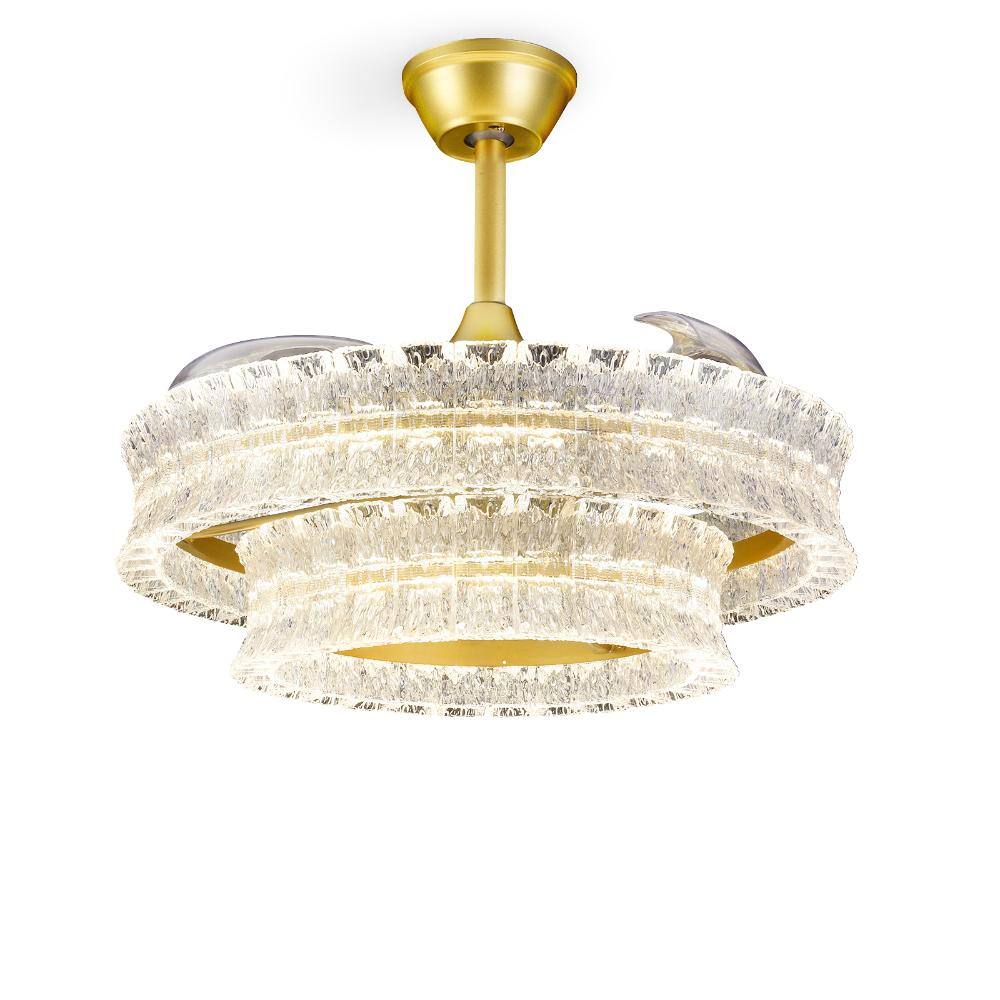 Cy'rqueフライヤーMAYALAFFLESIA繭LAREINECHARLES Depuley 24 in Modern Invisible Ceiling Fan with Lights, Crackle