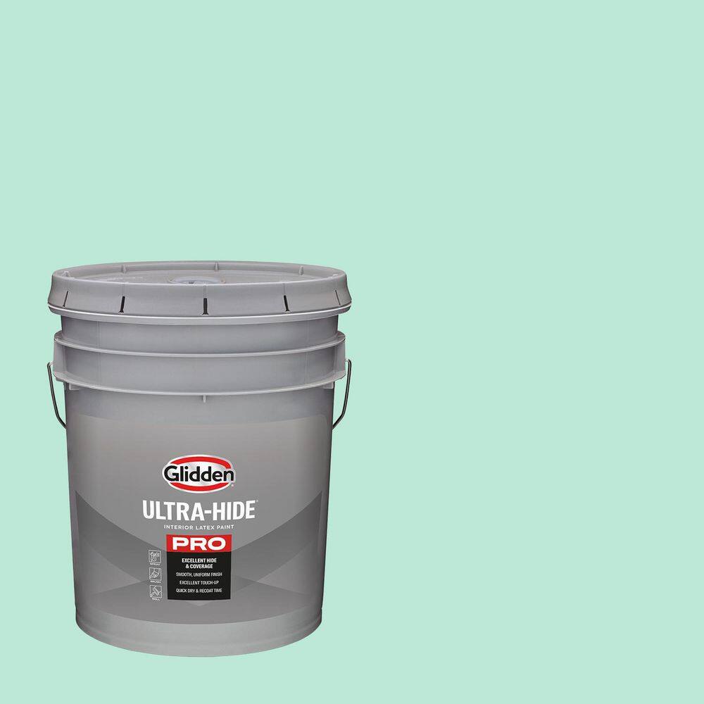 5 gal. PPG1229-2 Wintergreen Mint Ultra Flat Interior Paint price history on PriceWatchPro