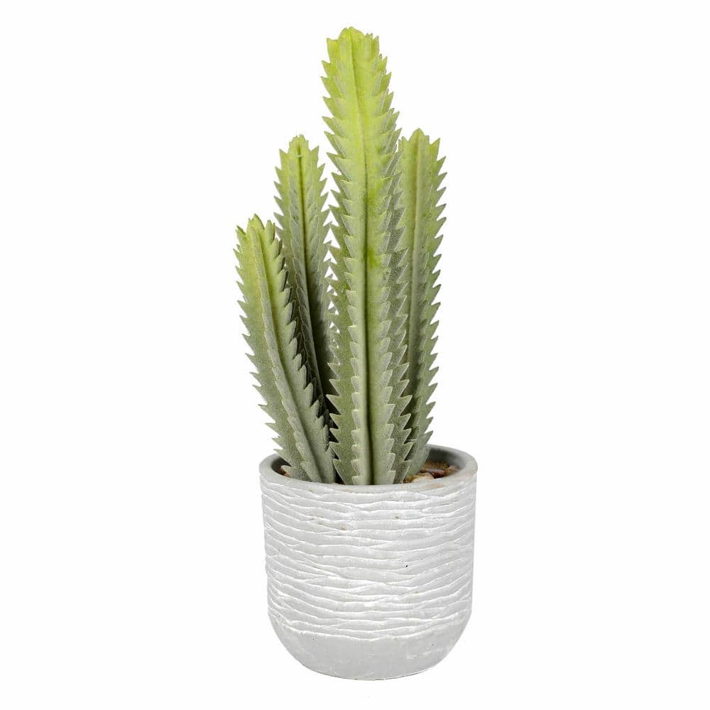 15 .5 in Artificial Green Cactus Plant.