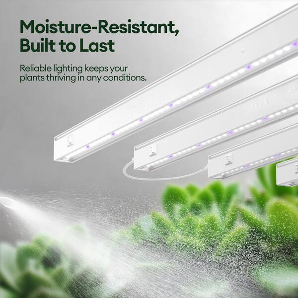 MayGrove 2 ft. Blue-Rich Full Spectrum 5000K T5 LED Grow Light