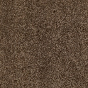 Coral Reef II - Fudgesicle - Brown 93.6 oz. Nylon Texture Installed Carpet