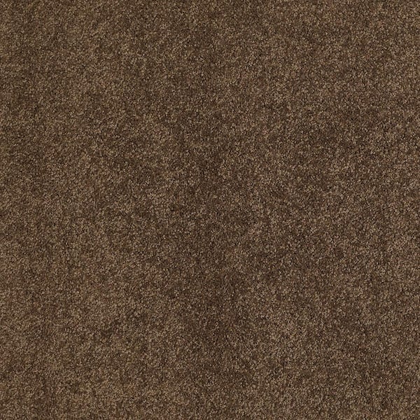 Lifeproof Coral Reef II - Fudgesicle - Brown 93.6 oz. Nylon Texture Installed Carpet