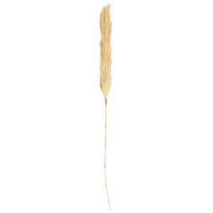 57 in. Tall Pampas Grass Natural Foliage (1 Bundle)