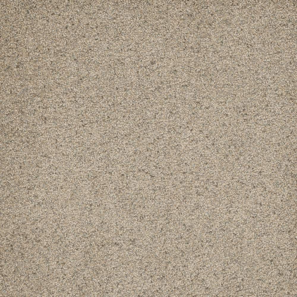 8 in. x  8 in. Texture Carpet Sample - Bradmore I -Color Solar price history on PriceWatchPro