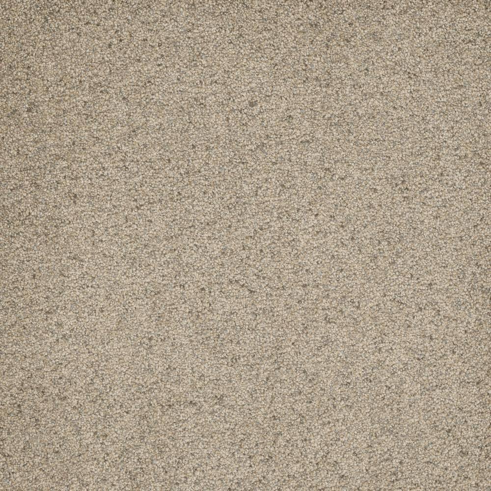 8 in. x  8 in. Texture Carpet Sample - Bradmore II -Color Solar price history on PriceWatchPro