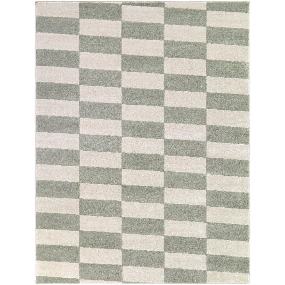 Elijah Grey 7 ft. 10 in. x 10 ft. Checkered Area Rug price history on PriceWatchPro