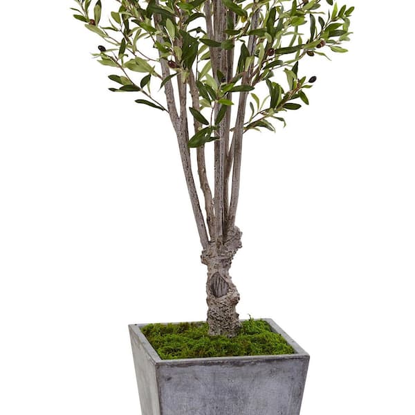 Vickerman 6 ft. Artificial Potted Olive Tree TB180572 - The Home Depot