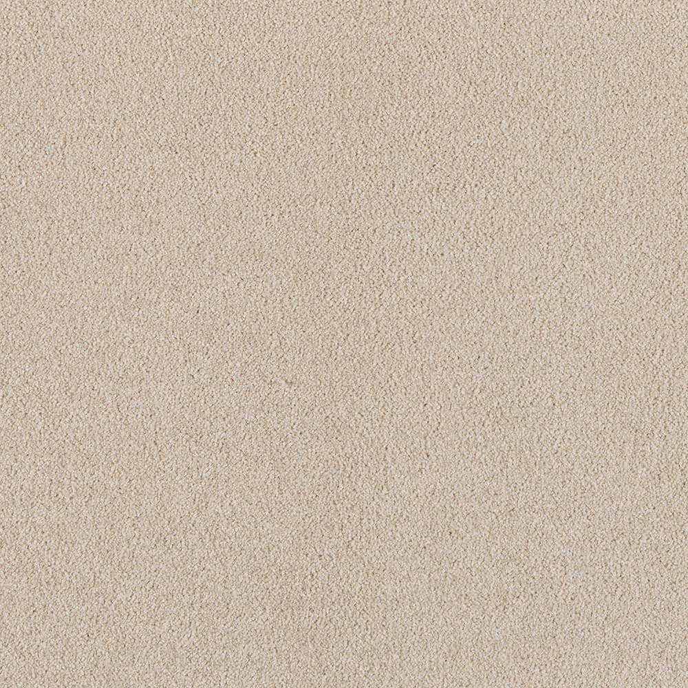 8 in. x 8 in. Texture Carpet Sample - Tailored Trends I -Color Crisp price history on PriceWatchPro