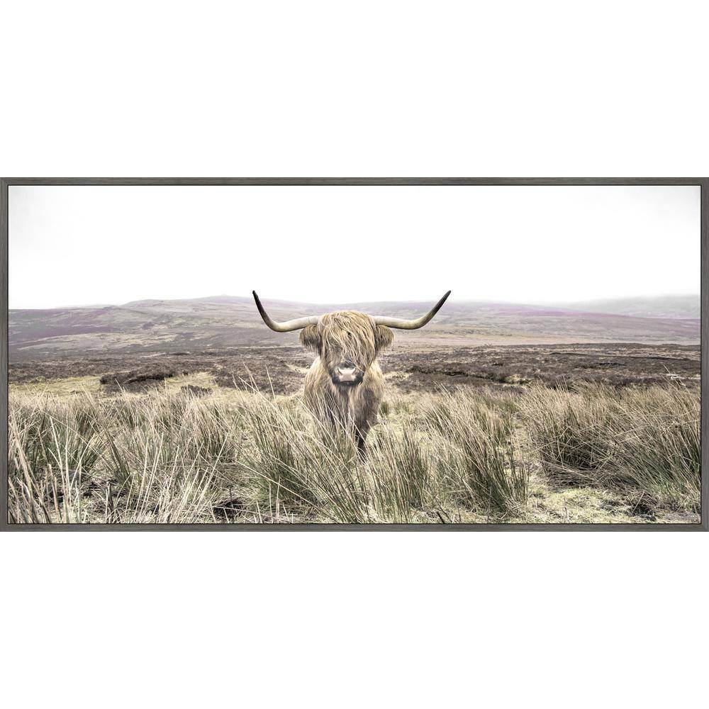 "Long Horn" by Marmont Hill Floater Framed Canvas Animal Art Print 30 in. x 60 in