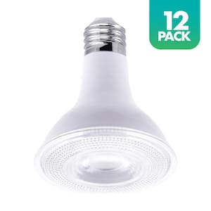 75-Watt Equivalent PAR30 Dusk to Dawn LED Light Bulb in 5000K Daylight (12-Pack)