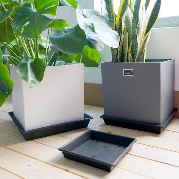 Phewnyzo Square Heavy Duty Plant Saucer 14 in. for Indoors Outdoors 2-Pack Black Plastic Plant Trays for Pots and Drip
