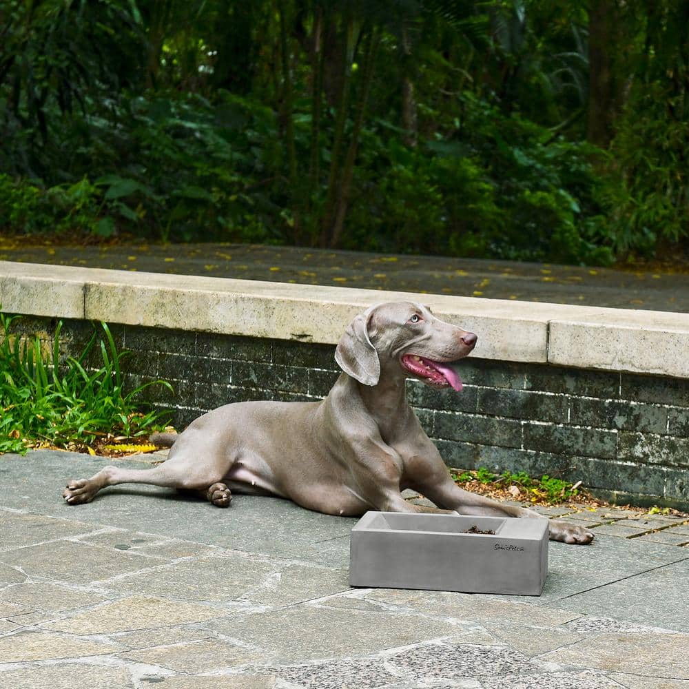 Duke Pet Bowl 13 in. Dark Grey
