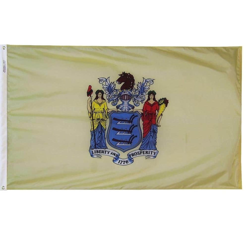 3 ft. x 5 ft. New Jersey State Flag price history on PriceWatchPro