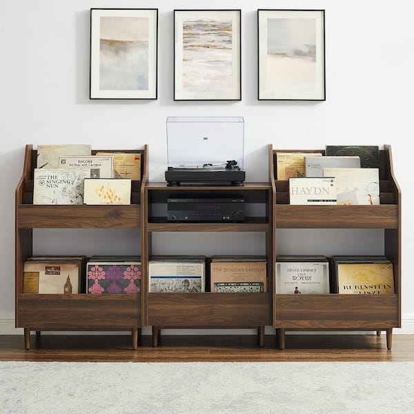 Liam Large Record Storage Console Cabinet - Shop Liam