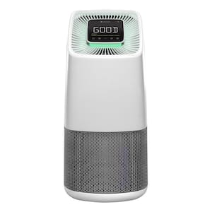 1375 sq. ft. HEPA - True Filter Whole House Air Purifier in White with ODOGard