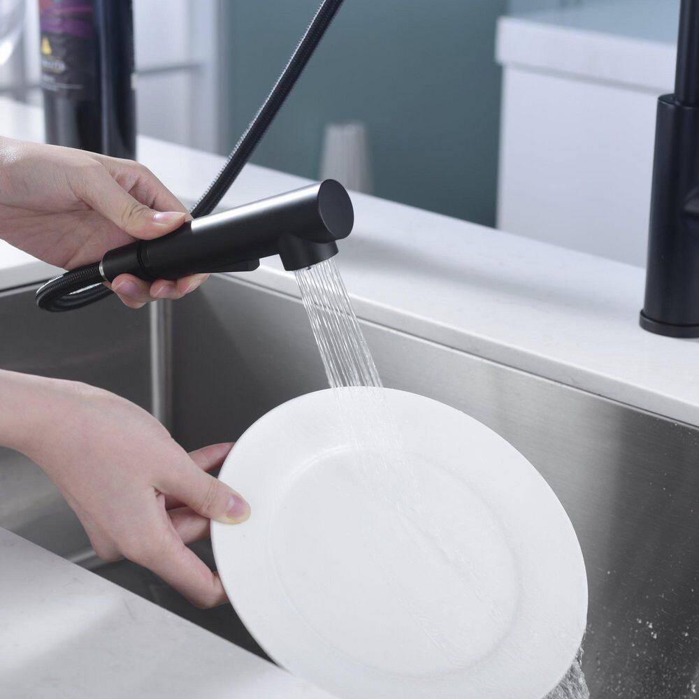 Matte Black Contemporary Pull-Out Kitchen Faucet with Lever Handle