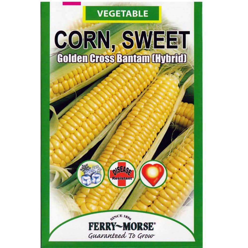 Ferry-Morse 60-Gram Golden Cross Bantam Hybrid Sweet Corn Seed