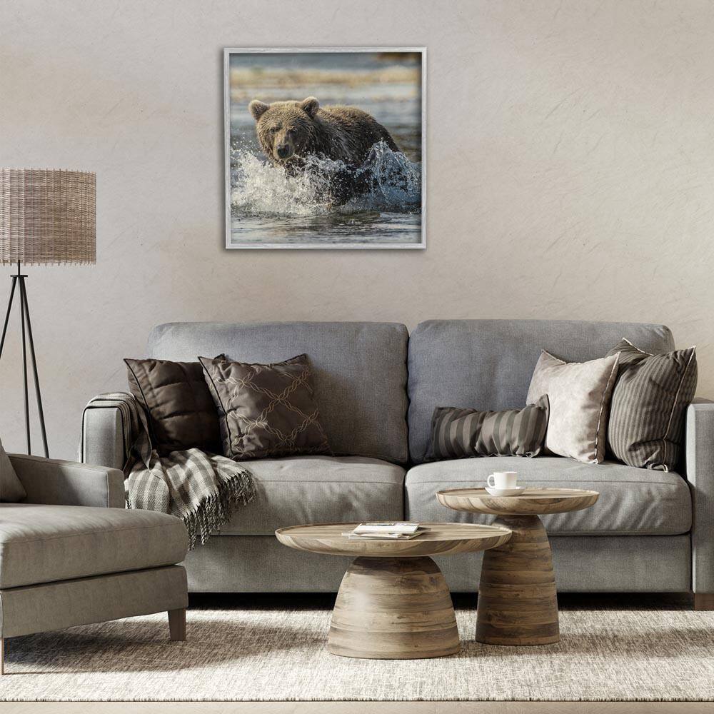 Bear Splashing in River by Danita Delimont Gray Framed Animal Giclee Art Print 24 in. x 24 in. price history on PriceWatchPro