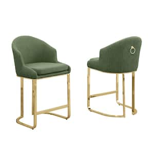 Raul 24 in. Green Low Back Metal Frame Gold Chrome Iron Legs Counter Stool With Teddy Fabric Set of 2