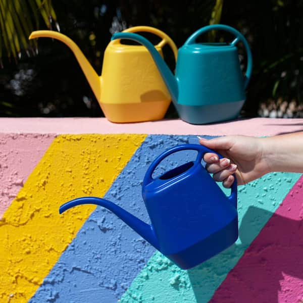 Bloem Aqua Rite Blue 56 oz Plastic Watering Can Bloem Aqua Rite Blue 56 oz Plastic Watering Can