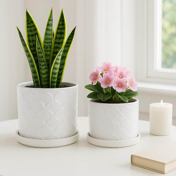 Liv & Skye 10 in. and 12 in. White Ceramic Scallop Planter (Set of 2) 21844