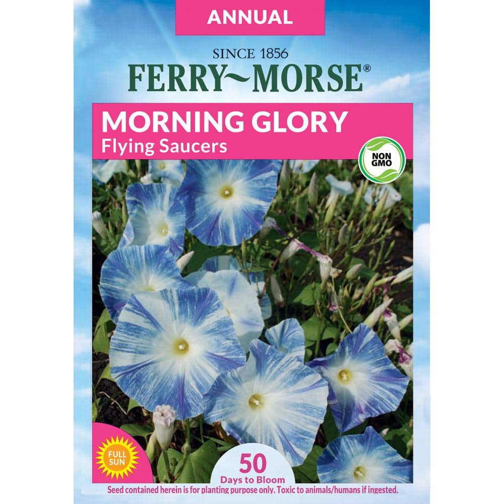 ferry-morse-flower-seeds-6084-