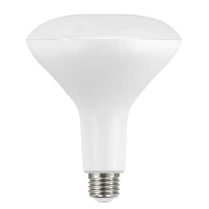 90-Watt Equivalent BR40 Energy Star and Dimmable LED Light Bulb in Bright White 3000K (2-Pack)