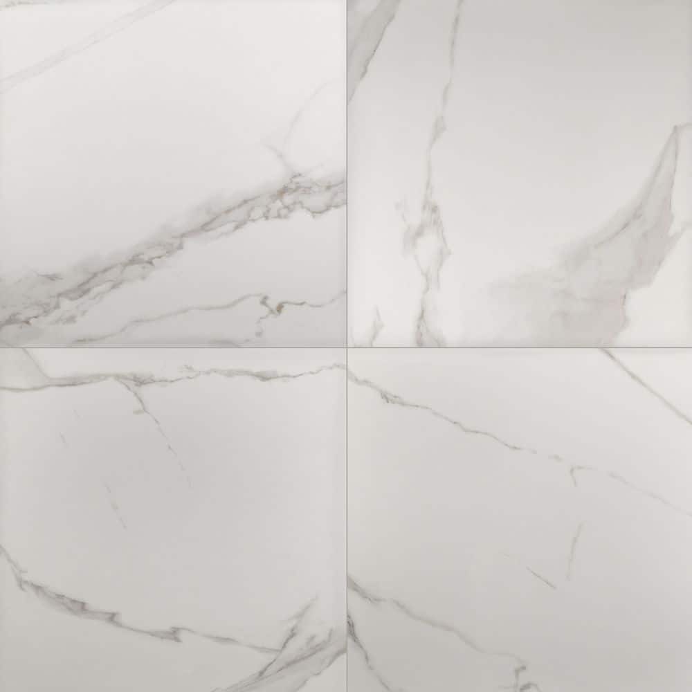 Carrara Artura White 5 in. x 5 in. x 0.38 in. Matte Porcelain Floor and Wall Tile Sample price history on PriceWatchPro