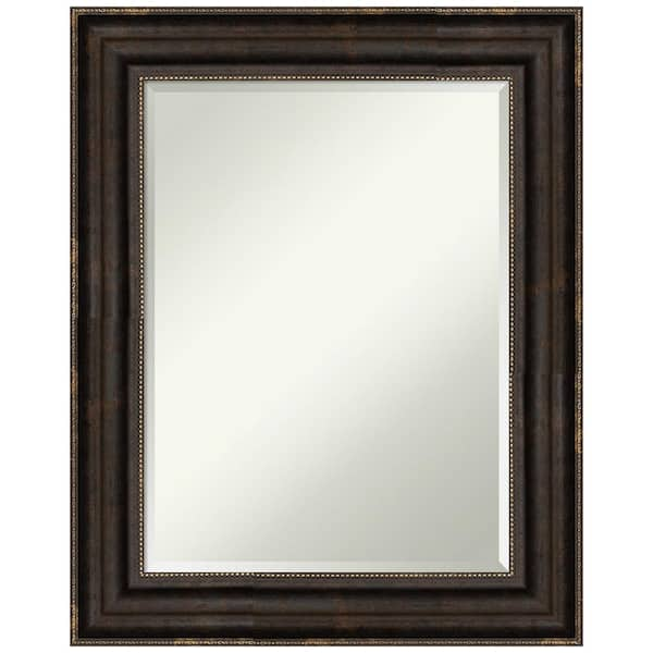 Amanti Art Stately Bronze 24.25 in. W x 30.25 in. H Framed Beveled ...