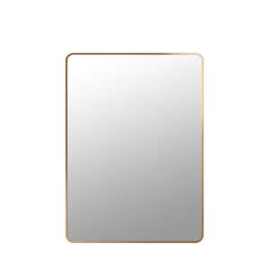 Ryan 24 in. W x 33 in. H Rectangular Stainless Steel Framed Wall Bathroom Vanity Mirror in Matte Gold