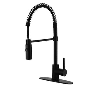 American Standard Sidespray and Hose for Kitchen Faucet, Black M953670 ...