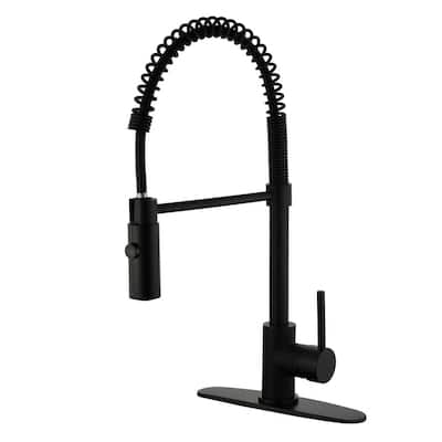 Single-Handle Pull-Down Sprayer Kitchen Faucet in Black
