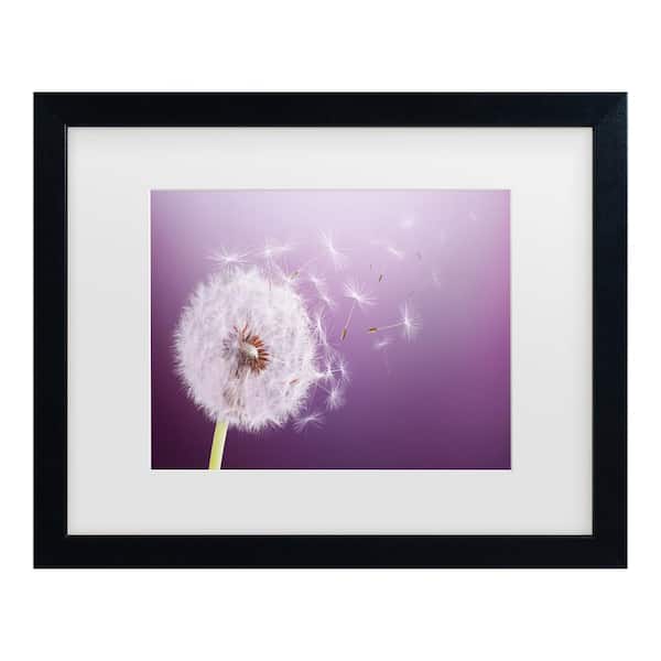 Trademark Fine Art Bess Hamiti Dandelion Flying Matted Framed Photography Wall Art 18 in. x 22 in.