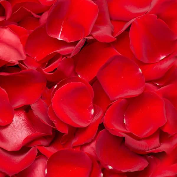 Large Bag of Red Rose Petals Flower Delivery South Lake Tahoe CA