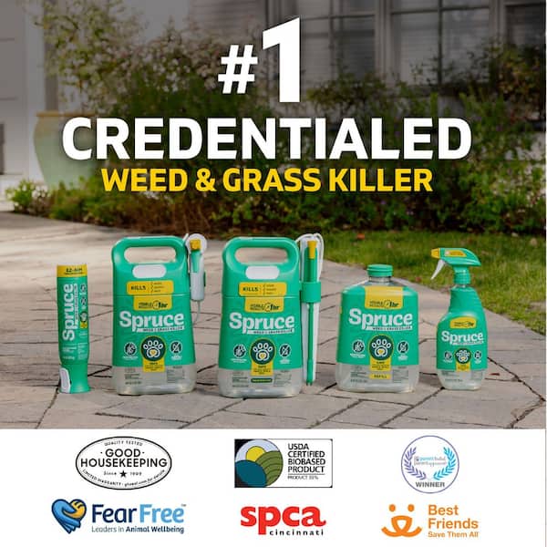 10 oz. EZ Aim Spray Weed and Grass Killer