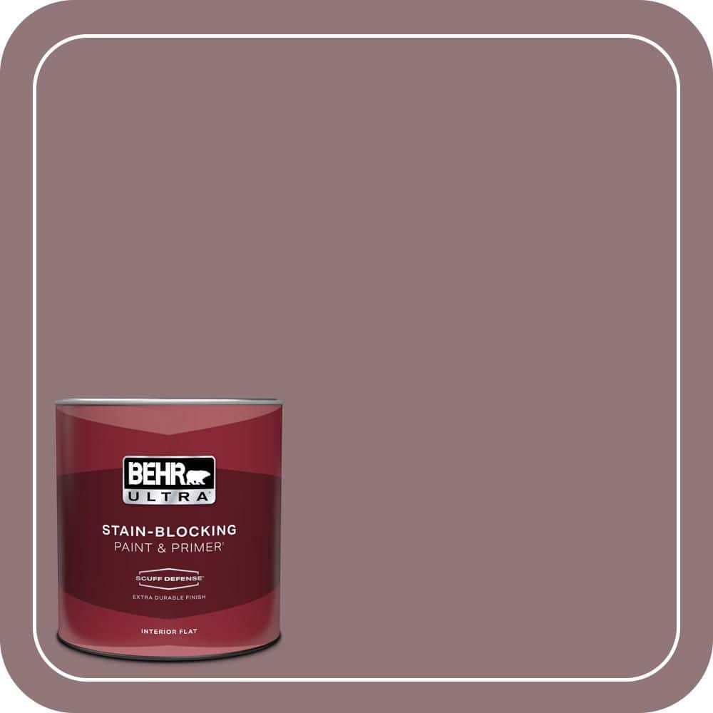 1 qt. #N120-5 Plumville Extra Durable Flat Interior Paint & Primer price history on PriceWatchPro