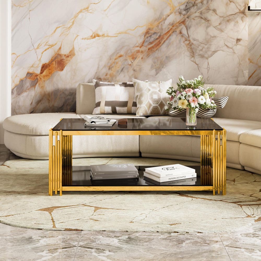 Polibi 47.5 in. Black Rectangle Glass Coffee Table with