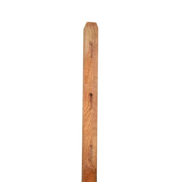 Unbranded 5/8 in. x 5-1/2 in. x 6 ft. Pressure-Treated Pine Dog-Ear Fence Picket