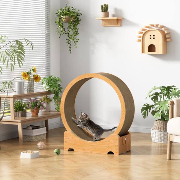 Comfort Exercise Wheel : Hamster Wheel